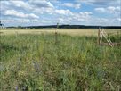 Blick über die Bienenweide